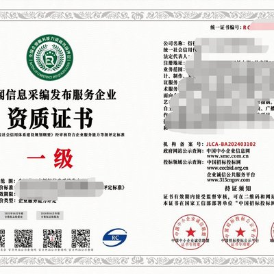 2024年互聯網新聞信息服務企業資質（一級）與信息技術咨詢服務 行業標準、價值與戰略協同